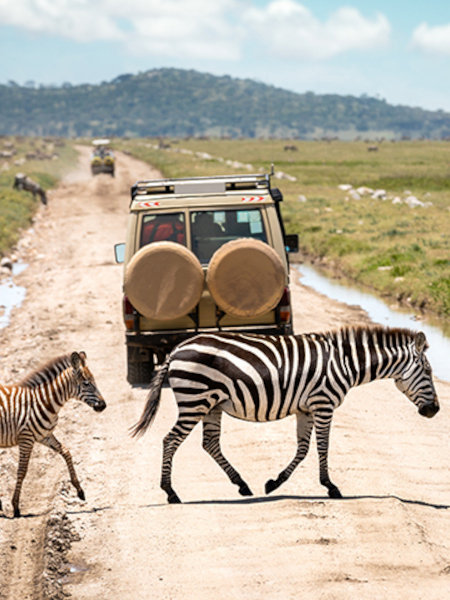 Rent a driver in Tanzania - Cruiser Hardtop with Pop-up Roof (Max 5-Pax) photo1