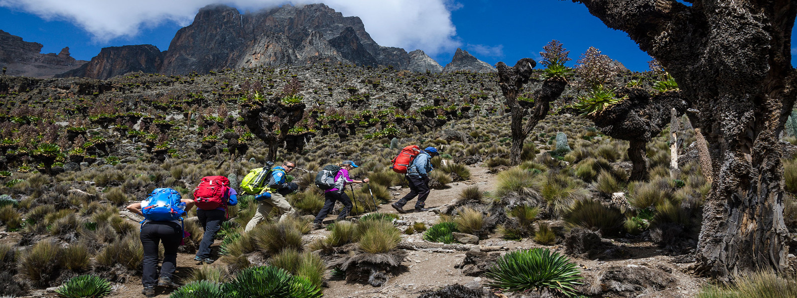 Mount Kenya Trekking Routes