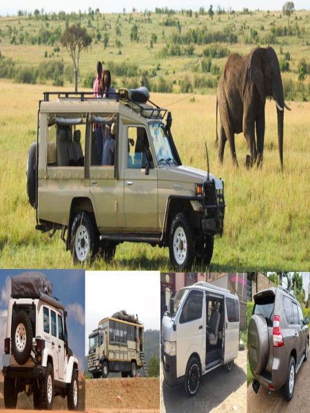 Road Transfer from Dar es Salaam + Safari Pricing photo2