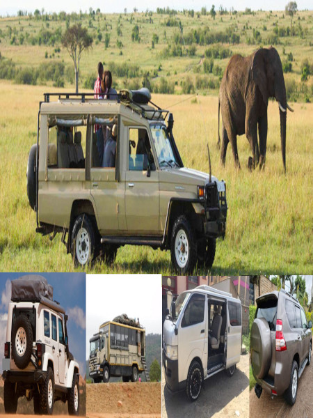 Flight Transfer & Safari Pricing photo2