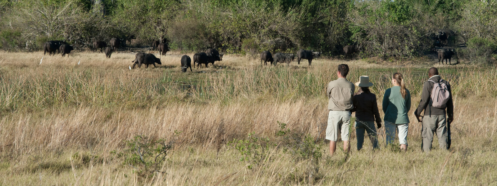 Linyanti & Selinda Wildlife Reserve