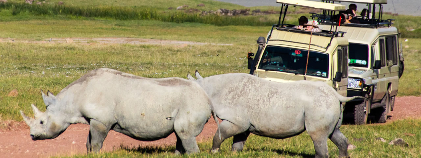 Ol Pejeta Conservancy