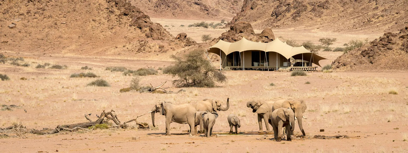 Skeleton Coast