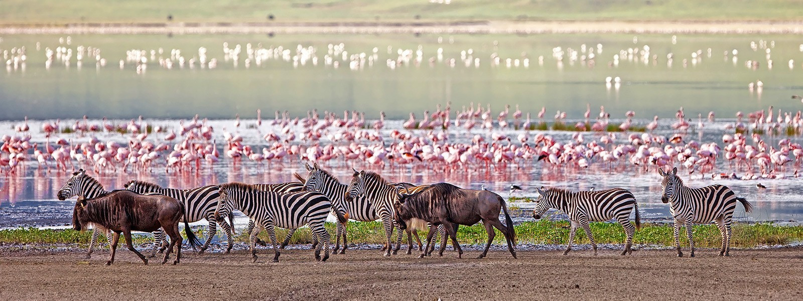 Lake Naivasha National Park