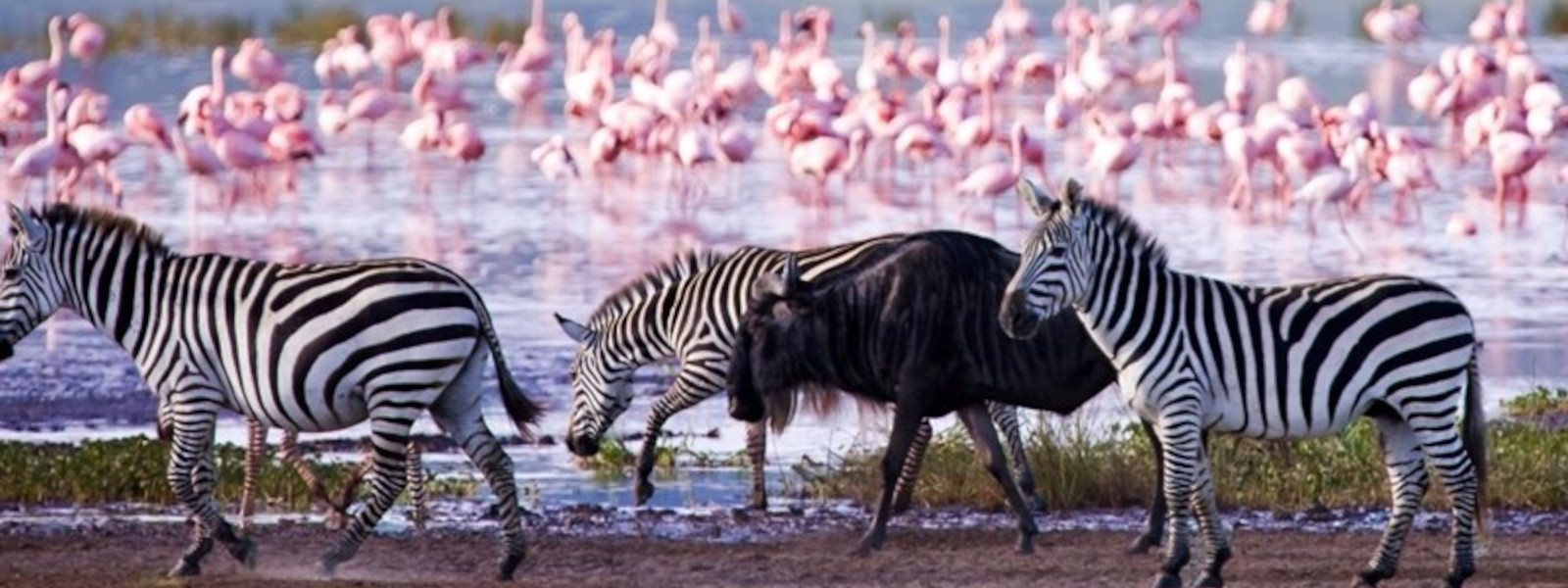 Lake Nakuru National Park