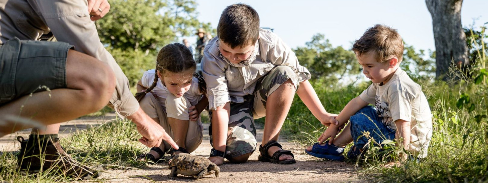 Walking Safaris