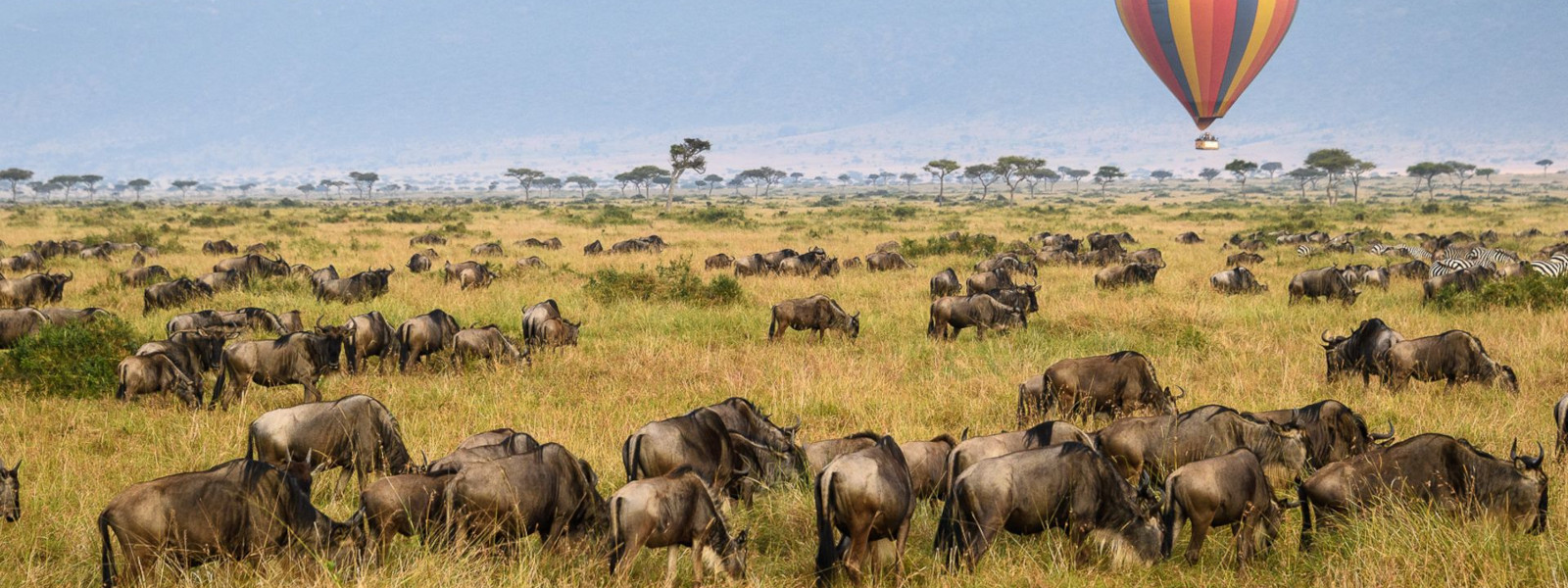 Things to do in Serengeti