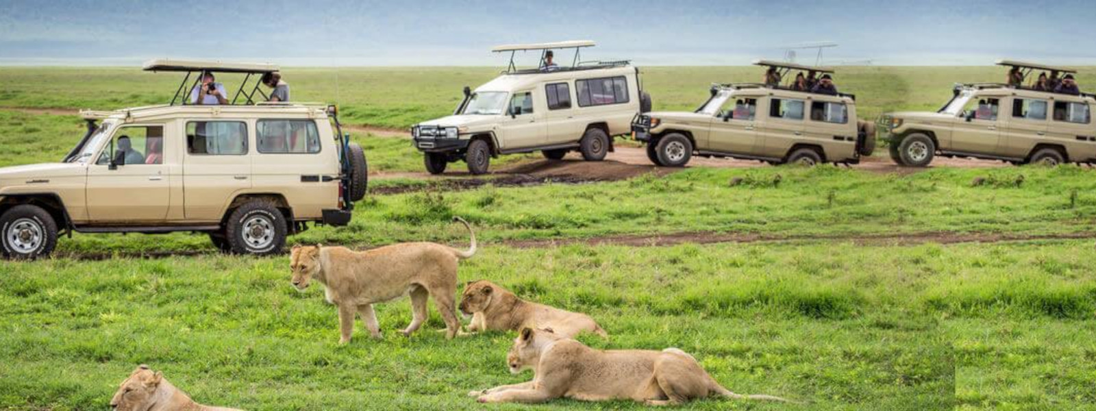 Tanzania Luxury Safari