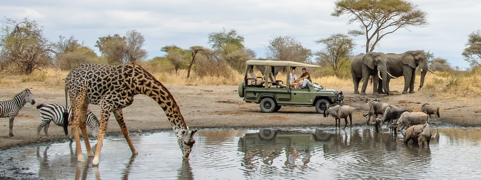 Short Tanzania Luxury Safari