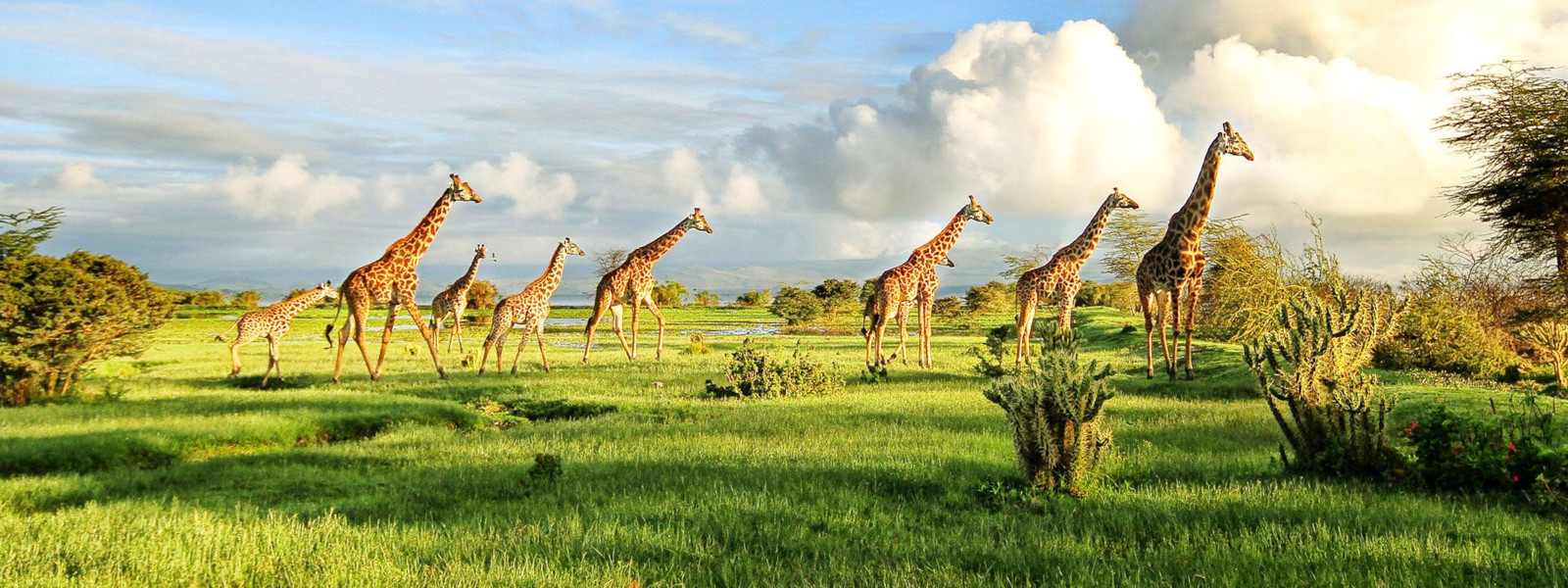 Short Gateway In Nyerere National Park